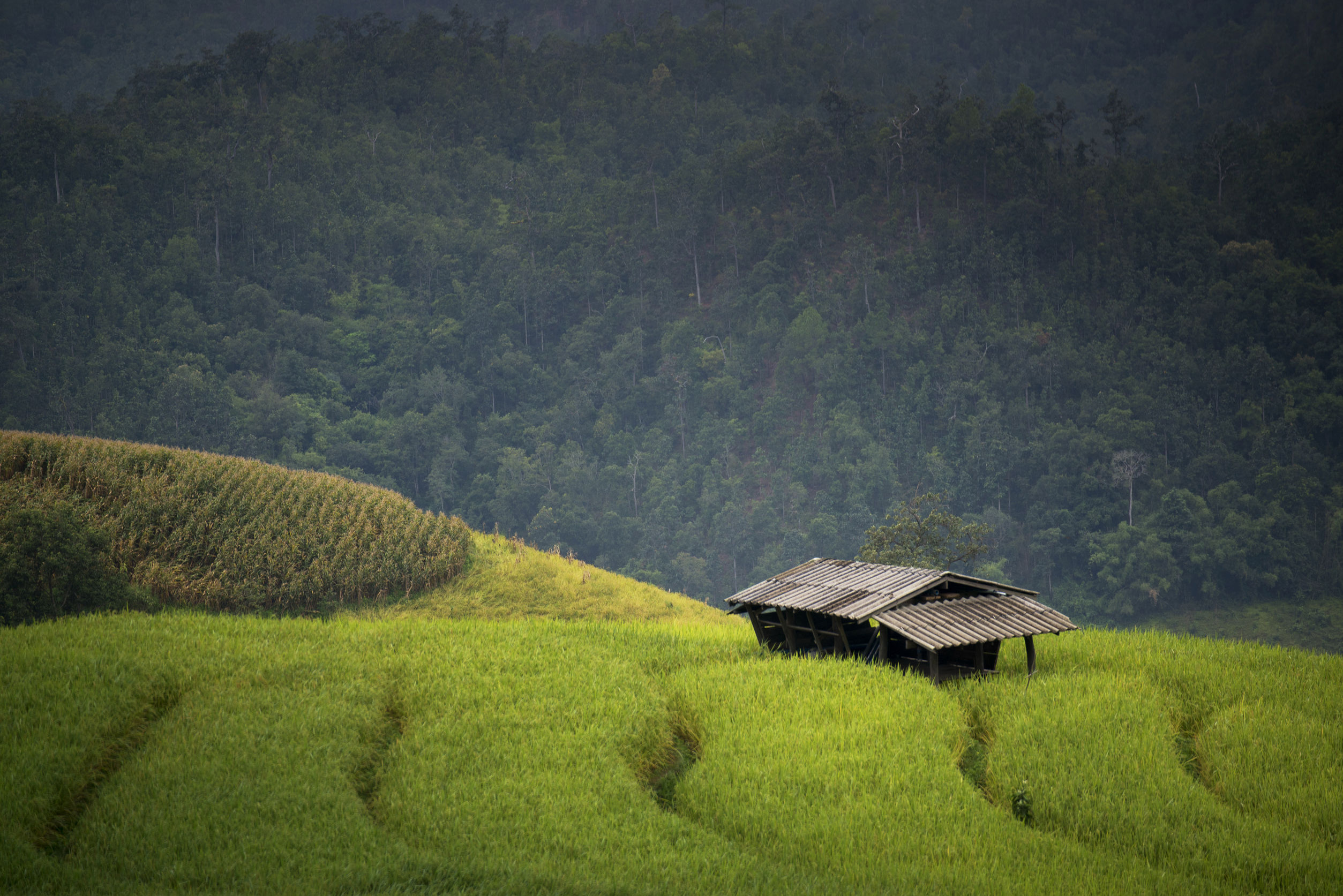 Cheap flight to Bali Denpasar