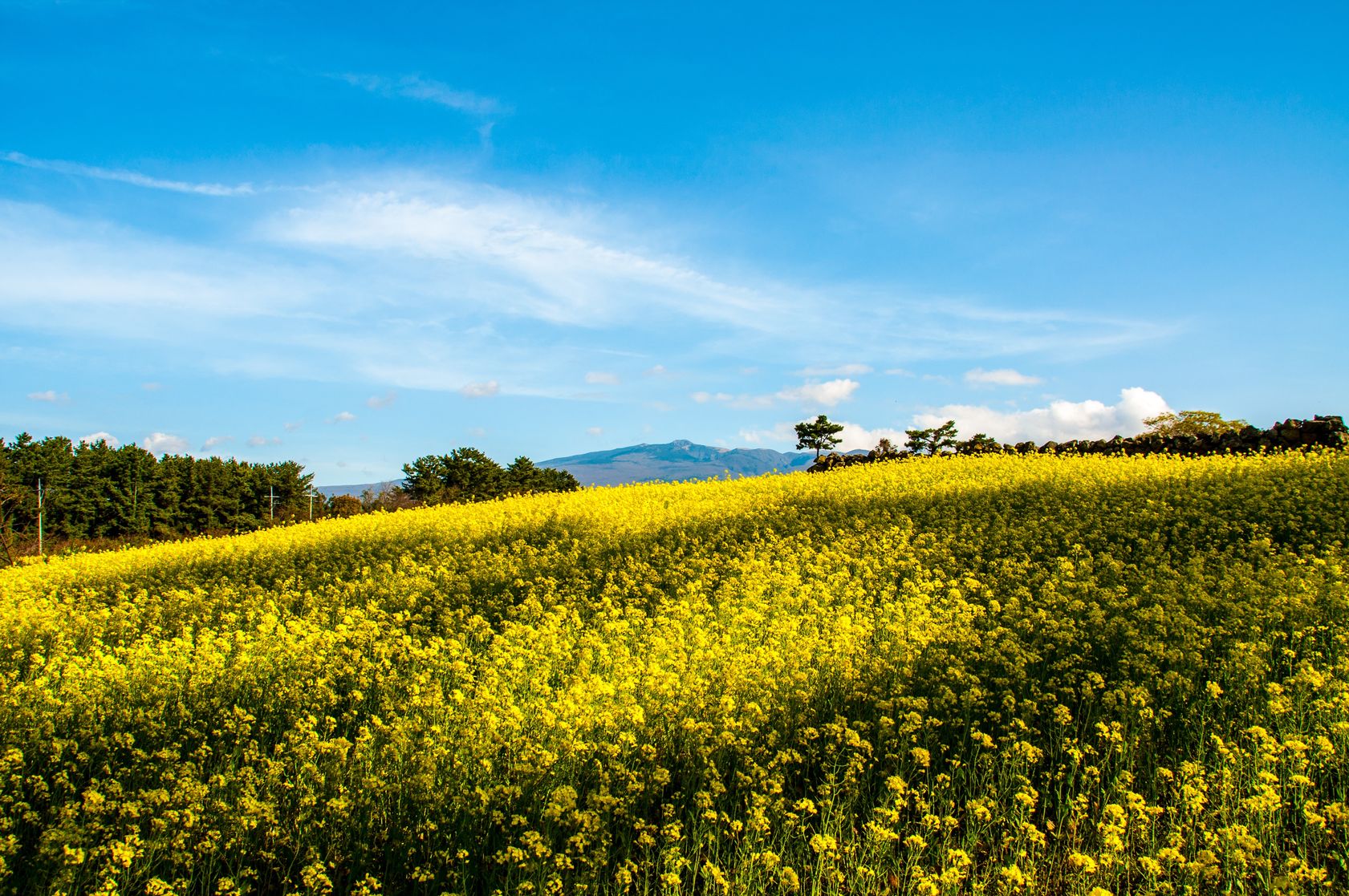 Cheap flight to Jeju City