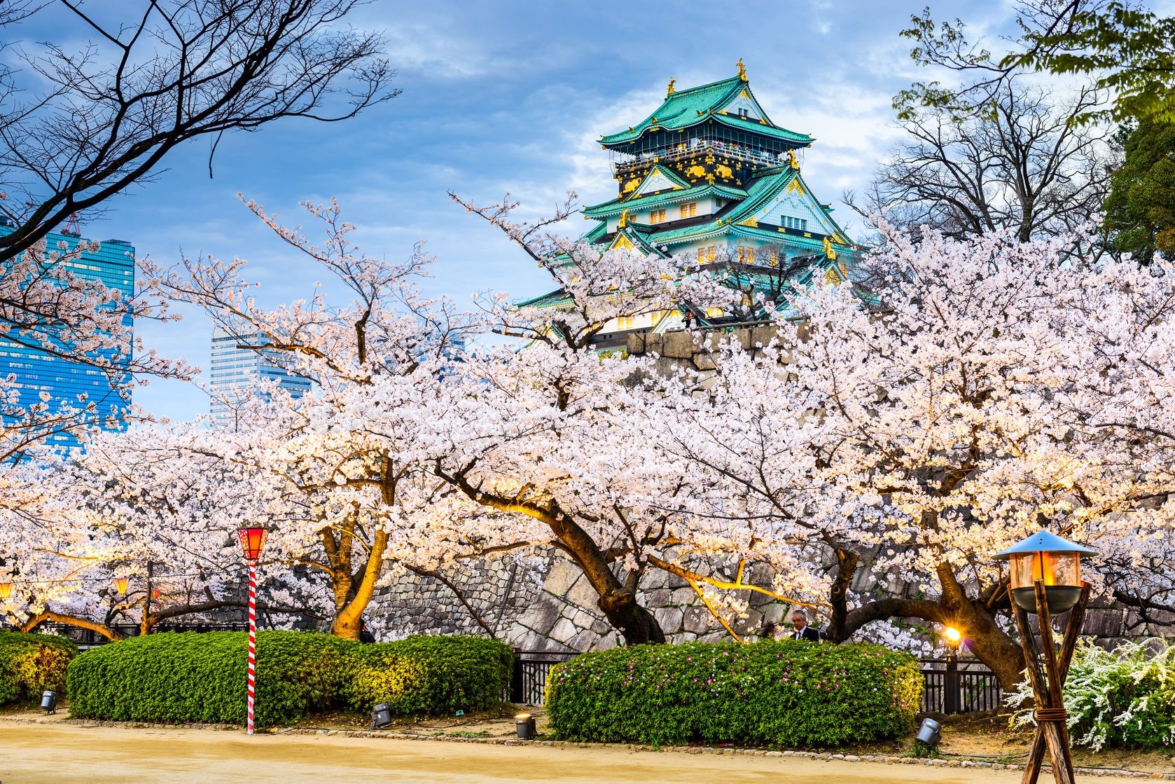 Cheap flight to Osaka