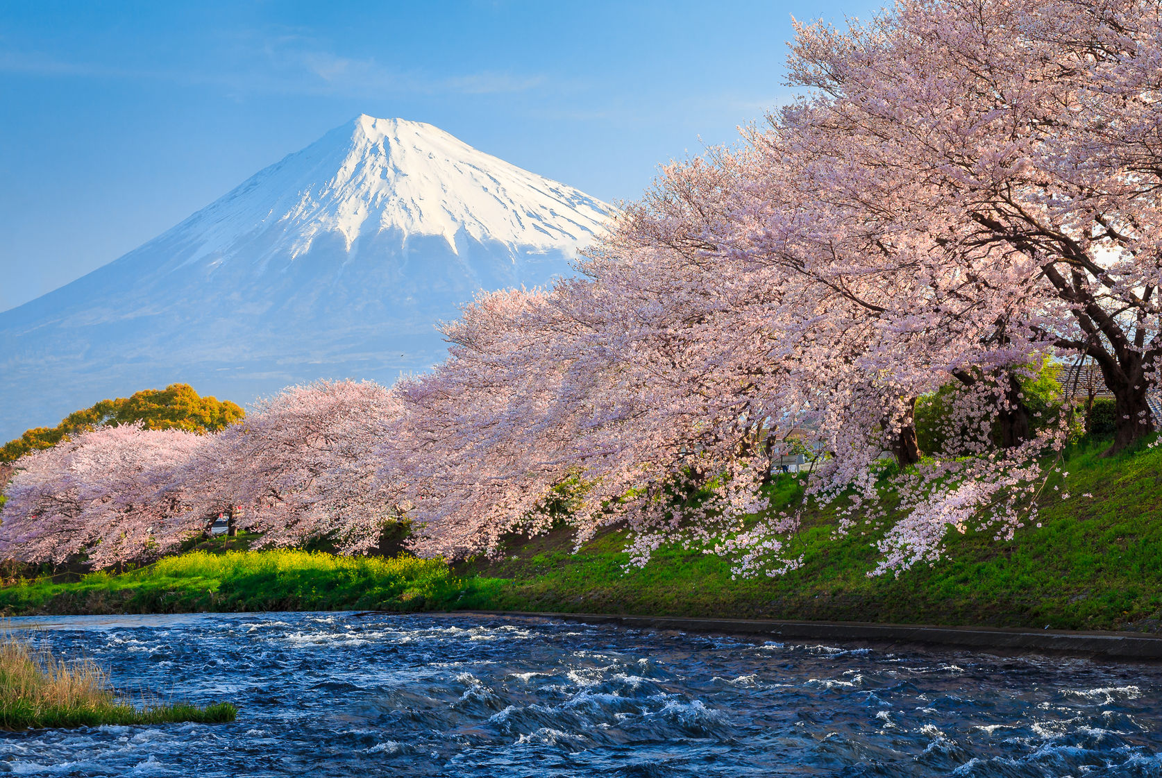 Cheap flight to Tokyo